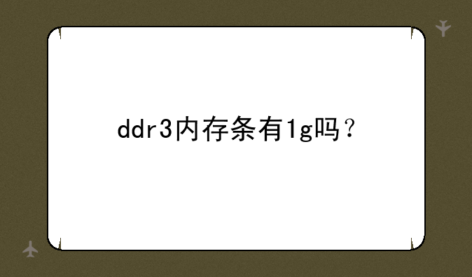 ddr3内存条有1g吗？