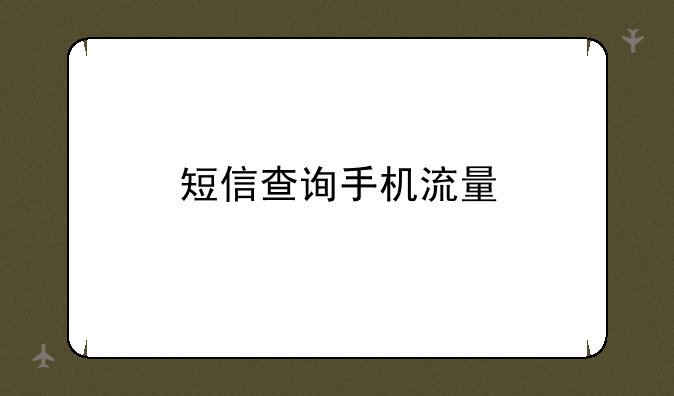 短信查询手机流量