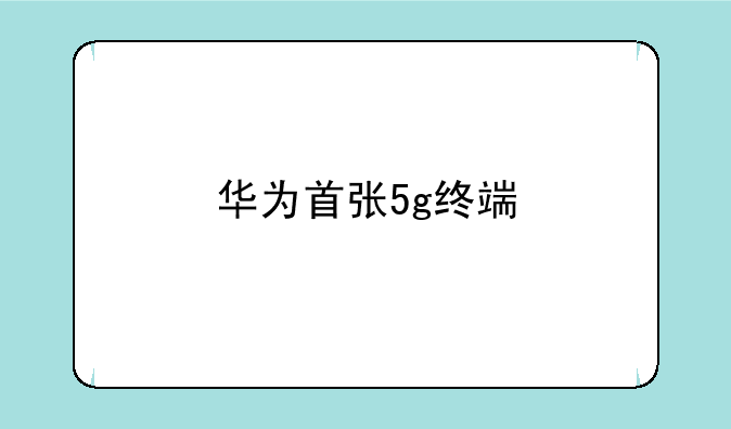 华为首张5g终端