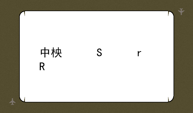 中柏笔记本电脑