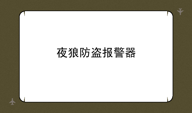 夜狼防盗报警器