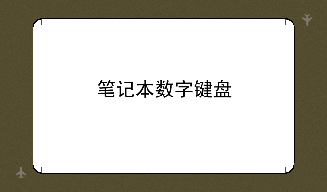 笔记本数字键盘
