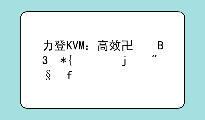 力登KVM：高效协同办公的利器