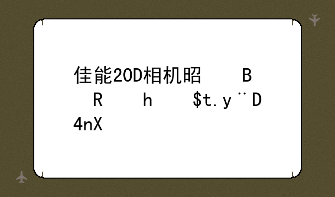 佳能20D相机是否支持2GB的CF卡？
