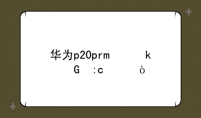 华为p20pro多少厘米？