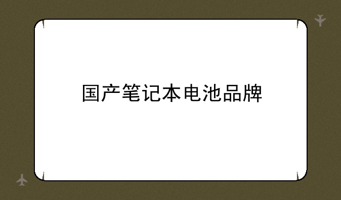 国产笔记本电池品牌