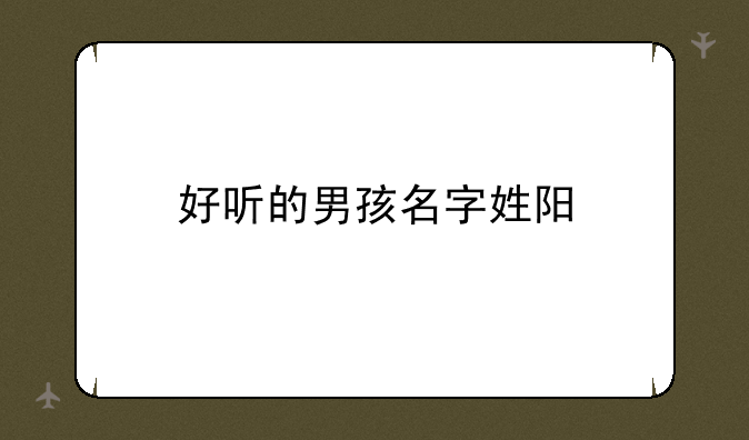 好听的男孩名字姓阳