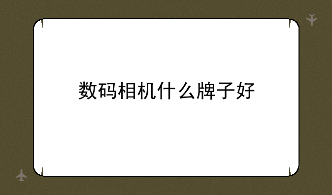 数码相机什么牌子好