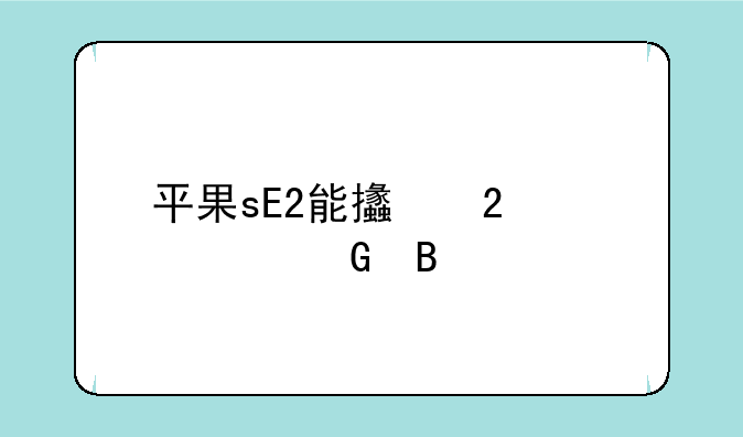 平果sE2能支持5G上网吗