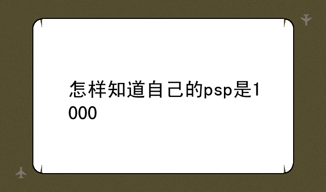 怎样知道自己的psp是1000/2000/3000还是pspgo？