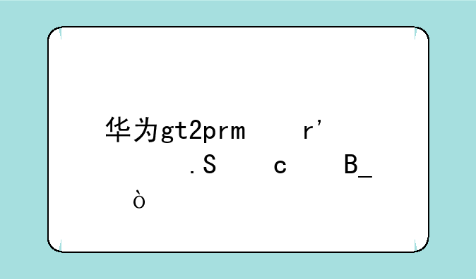 华为gt2pro有海拔高度吗？