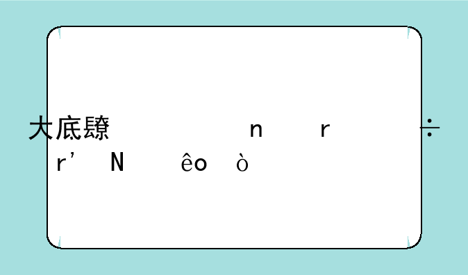 大底长焦相机都有哪些？
