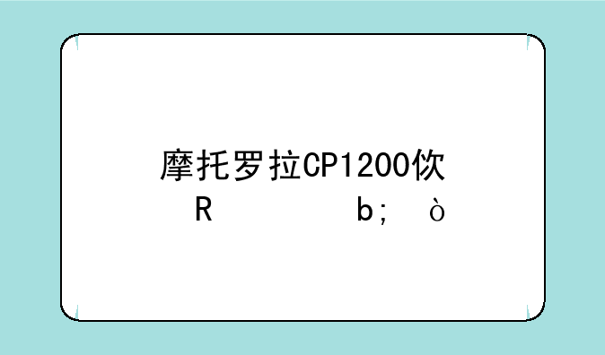 摩托罗拉CP1200使用说明？