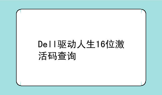 Dell驱动人生16位激活码查询