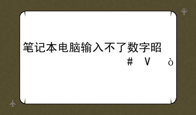 笔记本电脑输入不了数字是为什么啊？