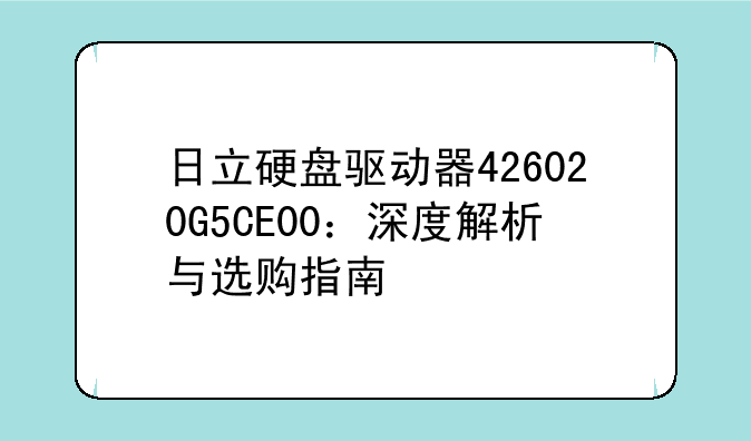 日立硬盘驱动器426020G5CE00：深度解析与选购指南