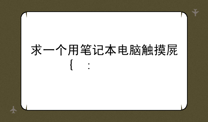 求一个用笔记本电脑触摸屏实现手写输入功能的软件