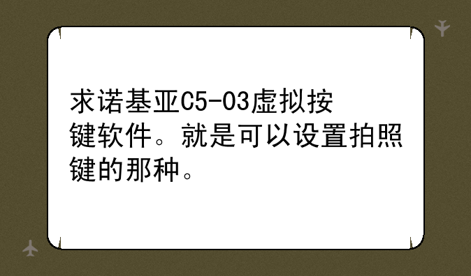 求诺基亚C5-03虚拟按键软件。就是可以设置拍照键的那种。