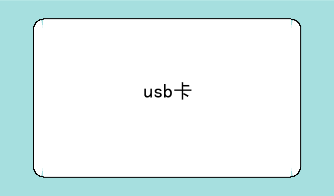 usb卡