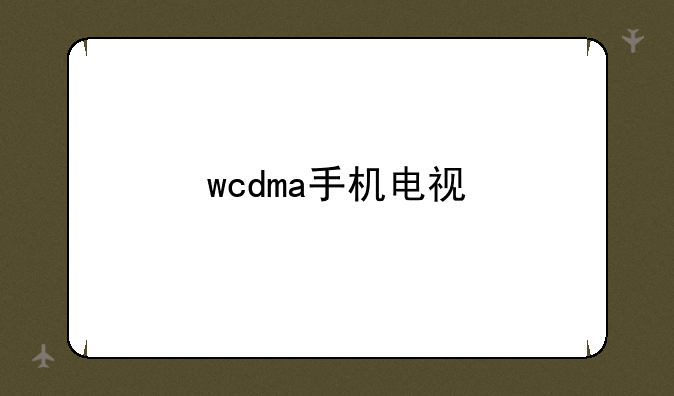 wcdma手机电视