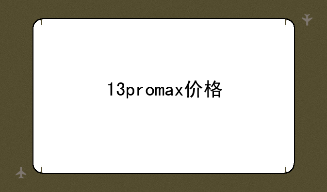 13promax价格