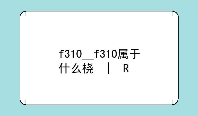 f310__f310属于什么档次