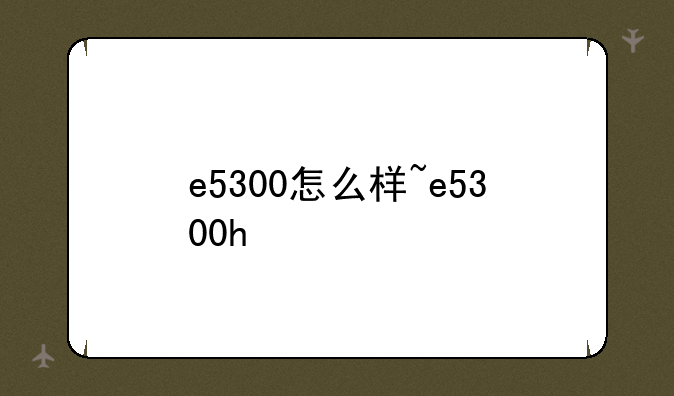 e5300怎么样~e5300h