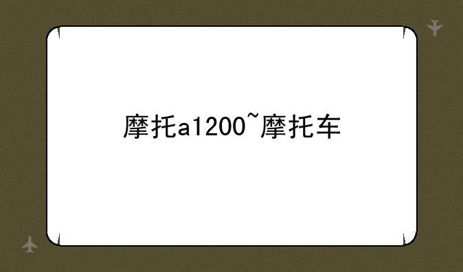 摩托a1200~摩托车