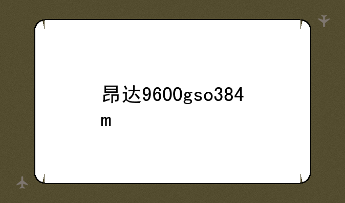 昂达9600gso384m
