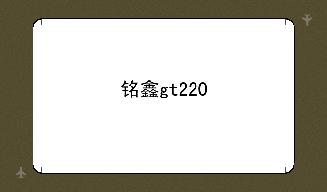 铭鑫gt220