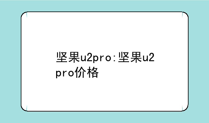 坚果u2pro:坚果u2pro价格