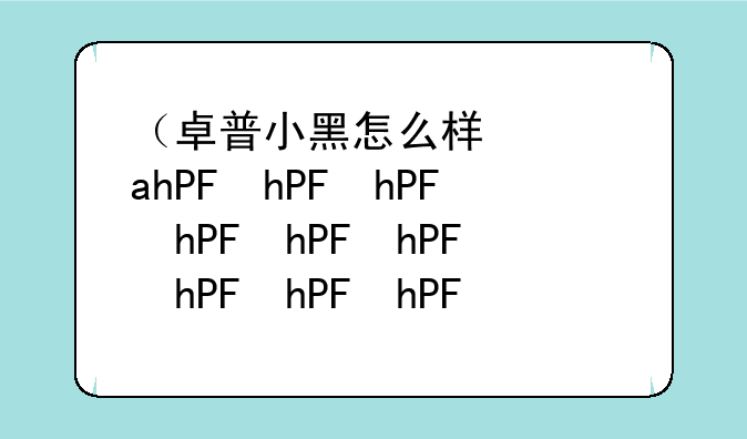 （卓普小黑怎么样）卓普小黑2