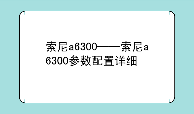 索尼a6300——索尼a6300参数配置详细