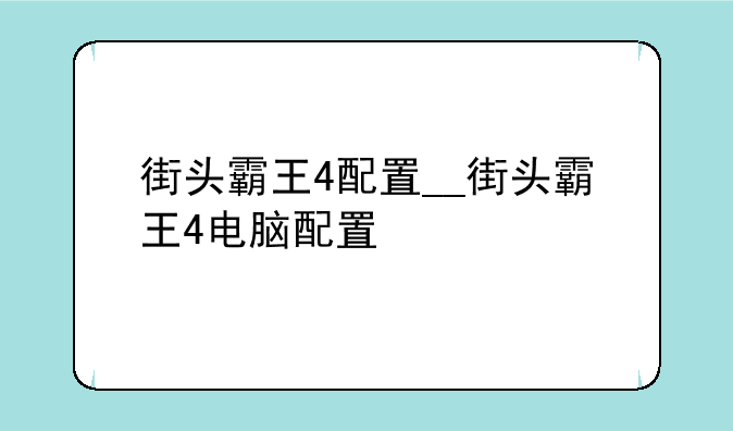 街头霸王4配置__街头霸王4电脑配置