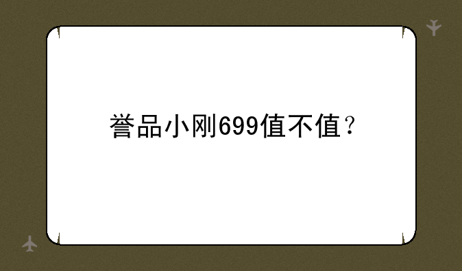 誉品小刚699值不值？
