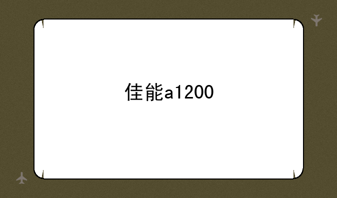 佳能a1200