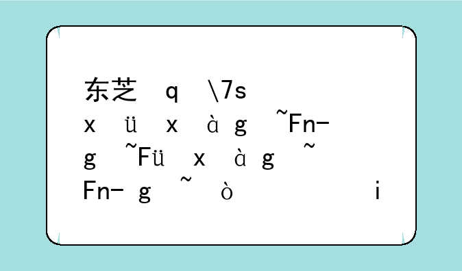 东芝笔记本怎么样~戴尔笔记本和惠普笔记本哪种好