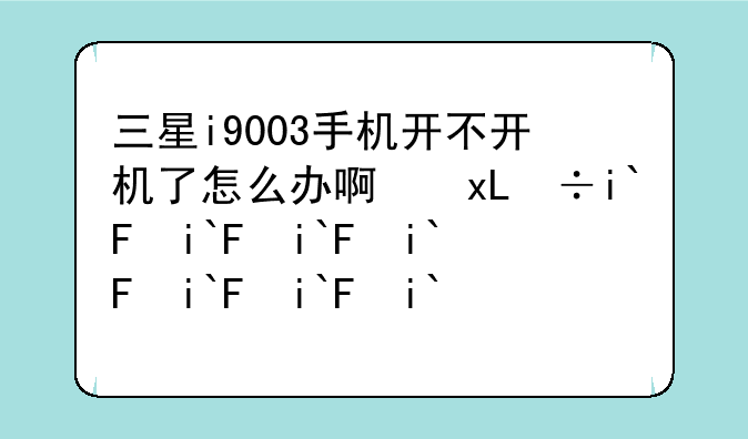 三星i9003手机开不开机了怎么办啊！？