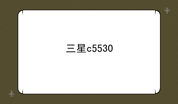 三星c5530