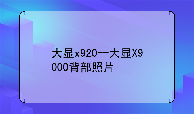 大显x920--大显X9000背部照片