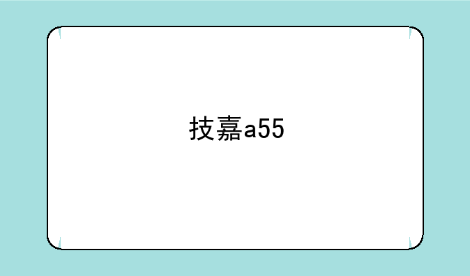 技嘉a55