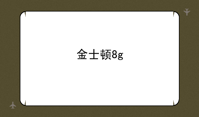 金士顿8g
