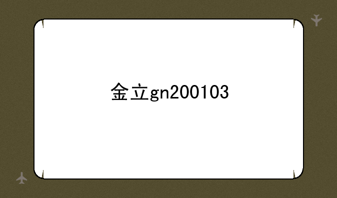金立gn200103