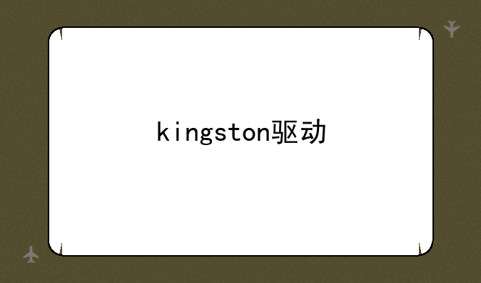 kingston驱动
